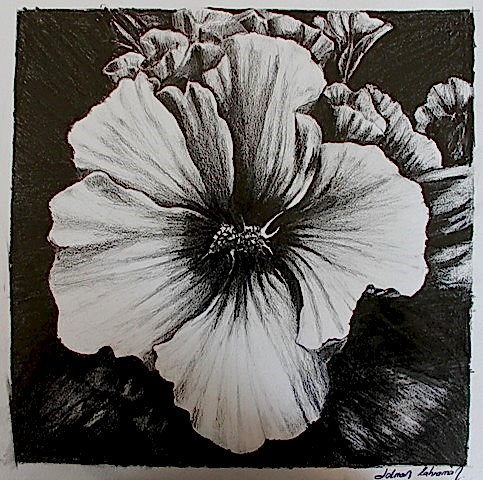 Karakalem Çalışmalar