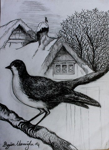 Karakalem Çalışmalar