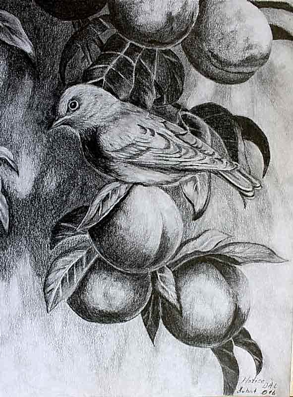 Karakalem Çalışmalar 6