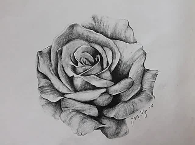 Karakalem Çalışmalar