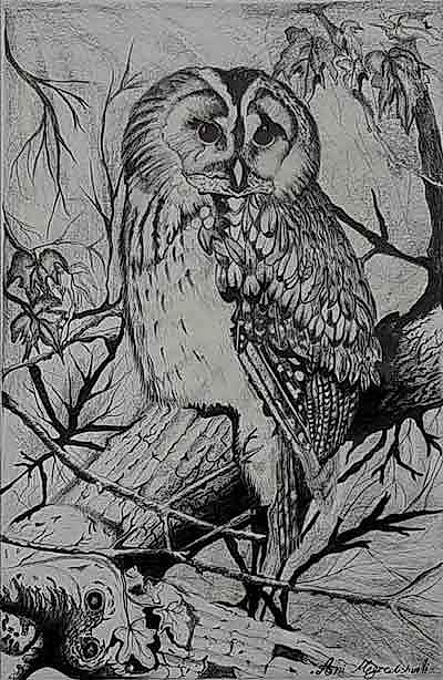 Karakalem Çalışmalar 8