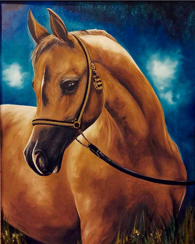 Sema Erdoğan Portfolyo