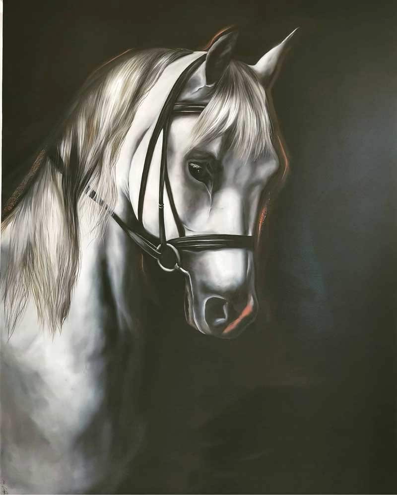 Sema Erdoğan Portfolyo