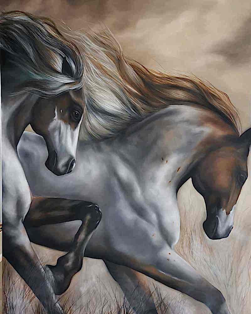 Sema Erdoğan Portfolyo