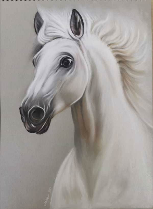 Kuru Kalem ve Sulu Boya Çalışmaları 11