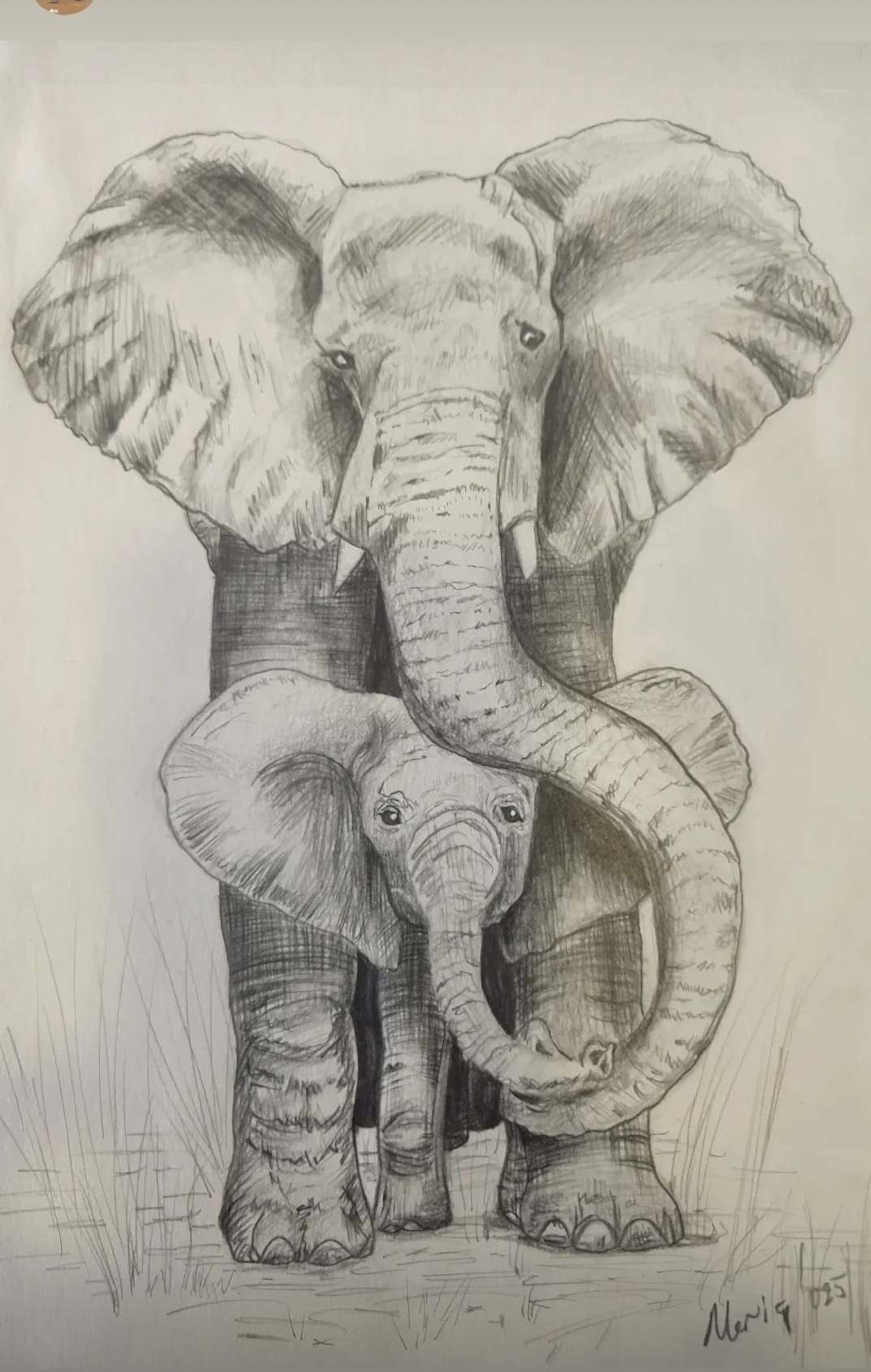 ÇOCUKLARIN ÇALIŞMASI SİYAH BEYAZ FİL VE YAVRUSU