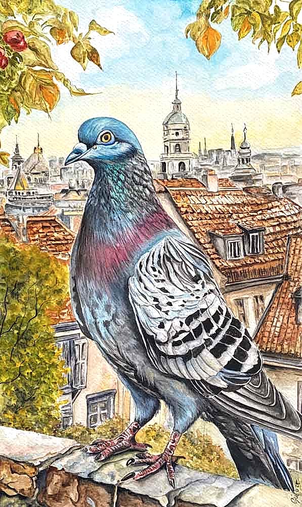 KURU KALEM SULU BOYA